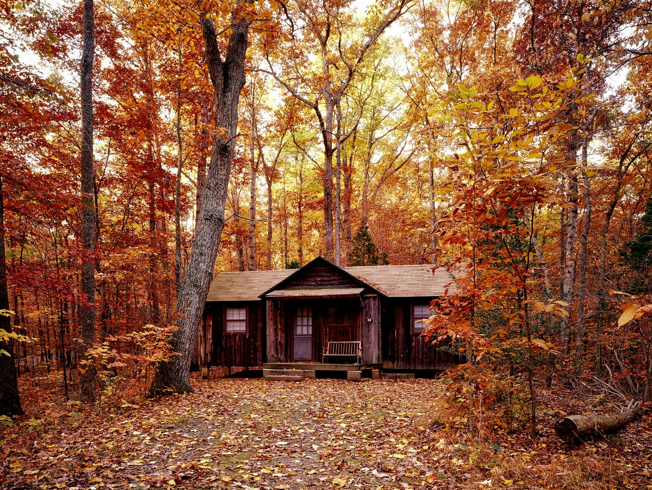 Cozy Thistle Cottage